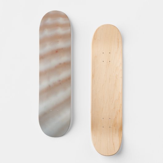 Zeeluiken Zomstrand Exotic Tropical Skateboard (Voorkant)