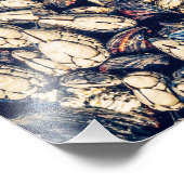 Zeeluis: zeeduivel en zeeschildpadden foto afdruk (Hoek)