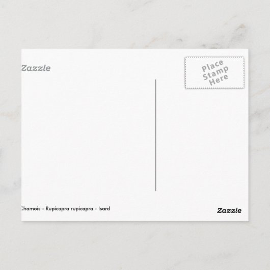 Zeemacht in het gras briefkaart (Achterkant)