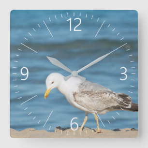 Zeeman loopt op het strand vierkante klok