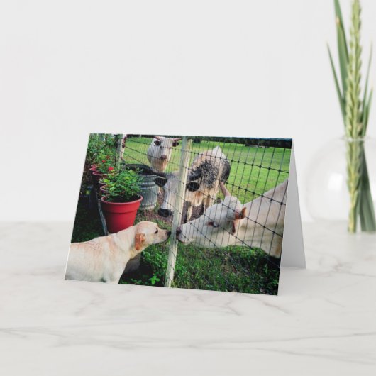 Zeeman & vrienden kaart (Voorkant)