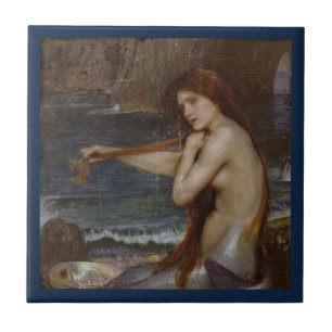 Zeemeermin die haar haar haar haar ontneemt tegeltje