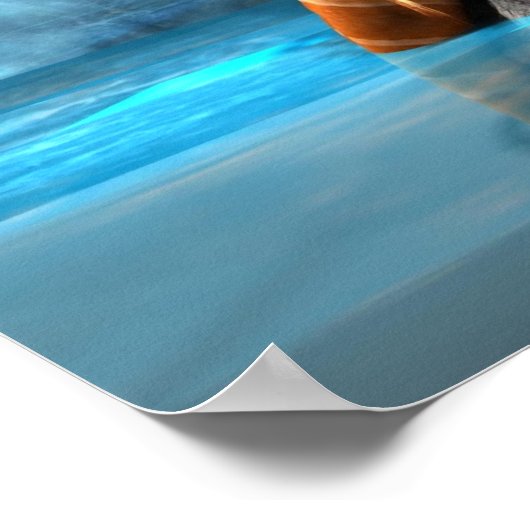 Zeemeermin door Wallace Poster (Hoek)