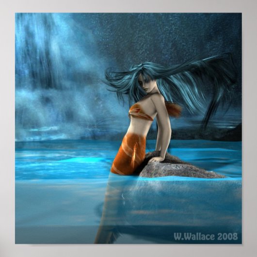 Zeemeermin door Wallace Poster (Voorkant)