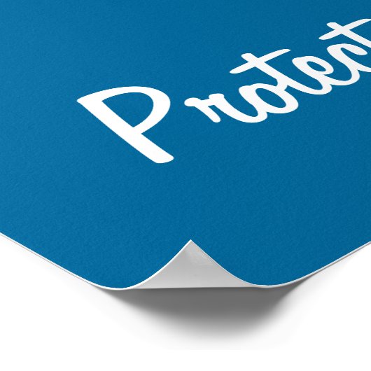 Zeemeermin en dolfijn: bescherm onze vrienden in d poster (Hoek)