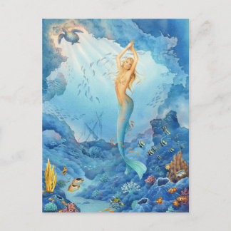 Zeemeermin en dolfijnen door Scot Howden Briefkaart