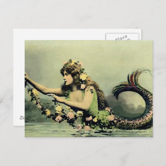 Zeemeermin en Rozen Briefkaart (Voorkant / Achterkant)