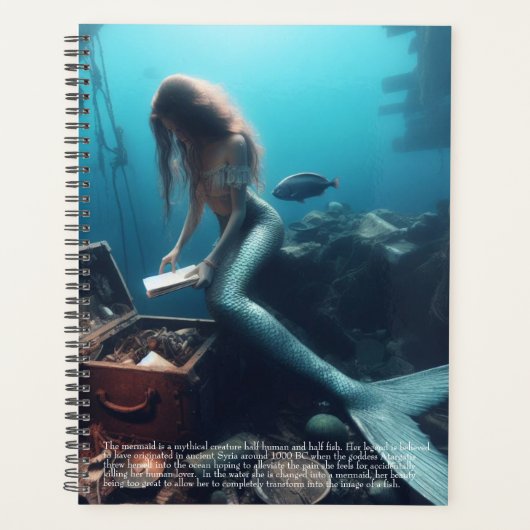 Zeemeermin Kalender Planner (Voorkant)