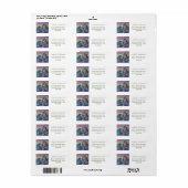 Zeemeermin Kasteel Etiket (Full Sheet)
