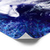 Zeemeermin met Poster van dolfijnen (Hoek)