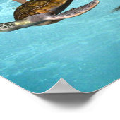 Zeemeermin met Zee Turtle Poster (Hoek)