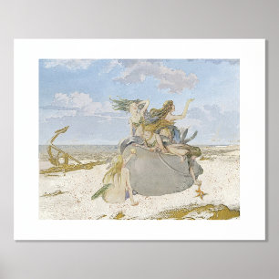 Zeemeermin  ontvlechting strand folie afdrukken