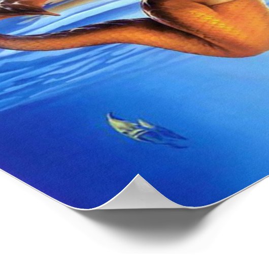 Zeemeermin Poster (Hoek)