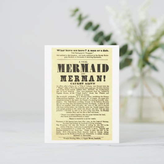 Zeemeermin  Show Poster Oddity Briefkaart (Staand voorkant)