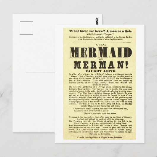Zeemeermin  Show Poster Oddity Briefkaart (Voorkant / Achterkant)
