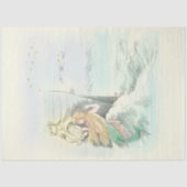  zeemeermin staren in een scheepsraam tissuepapier (Voorkant)