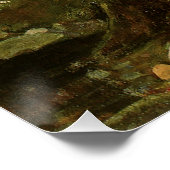 Zeemeermin van John William Waterhouse Poster (Hoek)