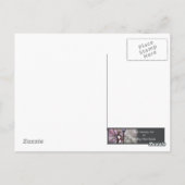 Zeemeerminansichtkaart van klein eiland briefkaart (Achterkant)