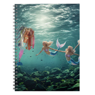 Zeemeerminnen hebben plezier. notitieboek