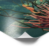 Zeemeerminningen bij schildpad foto afdruk (Hoek)