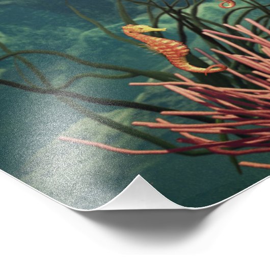 Zeemeerminningen bij schildpad foto afdruk (Hoek)