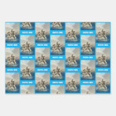 Zeemeerminstandbeeld. gepersonaliseerd inpakpapier vel (Voorkant 2)