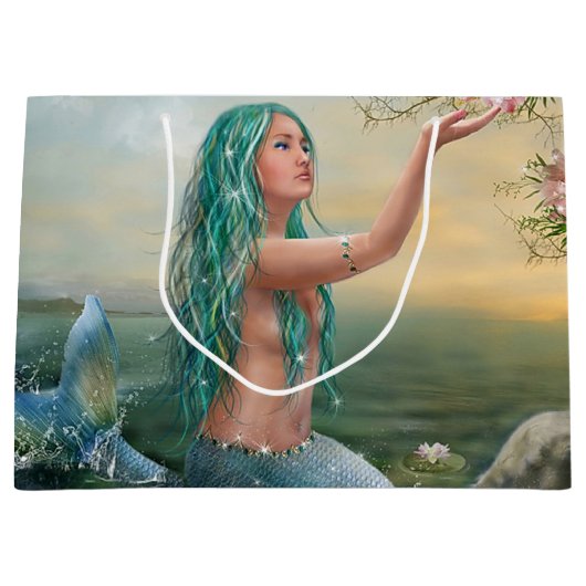 zeemeervis groot cadeauzakje (Voorkant)