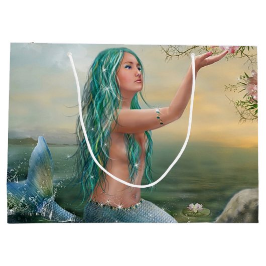 zeemeervis groot cadeauzakje (Achterkant)