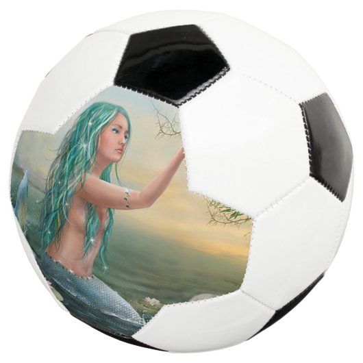 zeemeervis voetbal (Drie kwart)