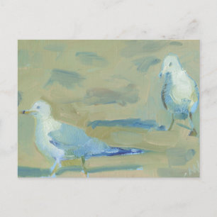 Zeemeeuw 1 briefkaart