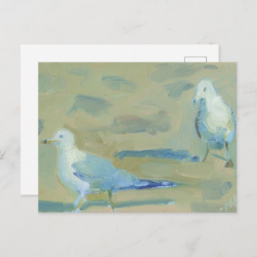 Zeemeeuw 1 briefkaart (Voorkant / Achterkant)