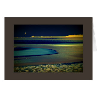 Zeemeeuw aan de kant van de zee