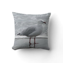 Zeemeeuw aan de rand van Waters