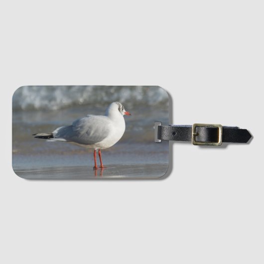 zeemeeuw bagagelabel (Voorkant (horizontaal))