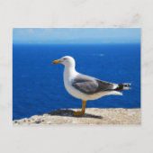 Zeemeeuw bij de strand briefkaart (Voorkant)