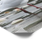 Zeemeeuw bij de strand poster (Hoek)