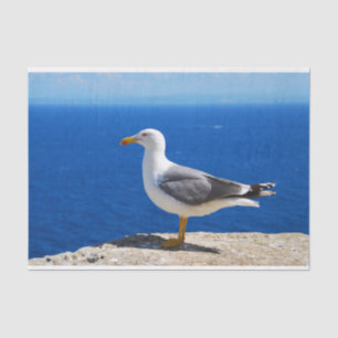 Zeemeeuw bij de strand tissuepapier