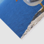 Zeemeeuw bij de strand tissuepapier (Detail)