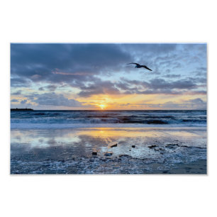 Zeemeeuw bij zonsondergang - Venice Beach, CA Foto Afdruk