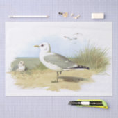  zeemeeuw Bird Beach Grass Ocean Seaside Tissuepapier (Craft)