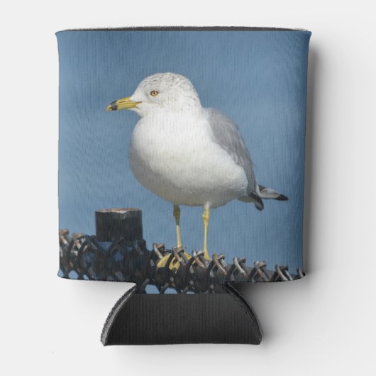 zeemeeuw blikjeskoeler (Voorkant)