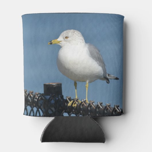 zeemeeuw blikjeskoeler (Achterkant)