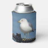 zeemeeuw blikjeskoeler (Blikje Achterkant)