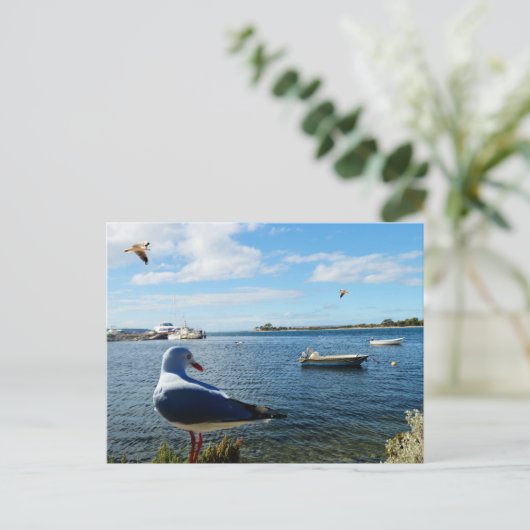 Zeemeeuw, boten en de oceaan, briefkaart (Staand voorkant)