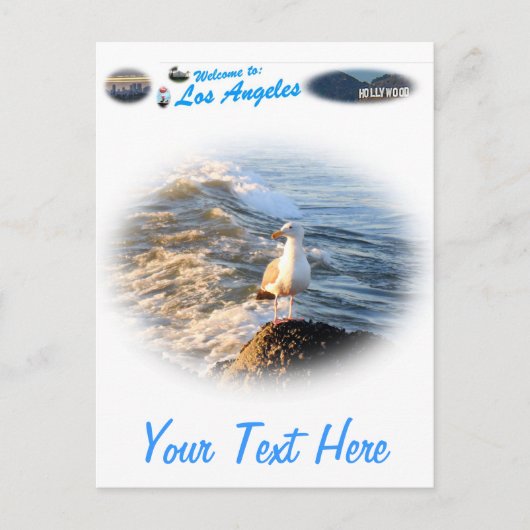 zeemeeuw briefkaart (Voorkant)