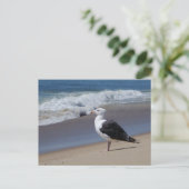 zeemeeuw briefkaart (Staand voorkant)