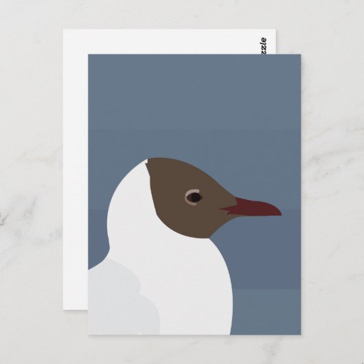 zeemeeuw briefkaart (Voorkant / Achterkant)