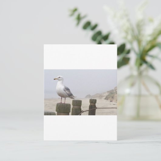 zeemeeuw briefkaart (Staand voorkant)