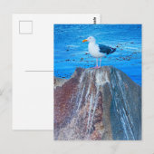 zeemeeuw briefkaart (Voorkant / Achterkant)