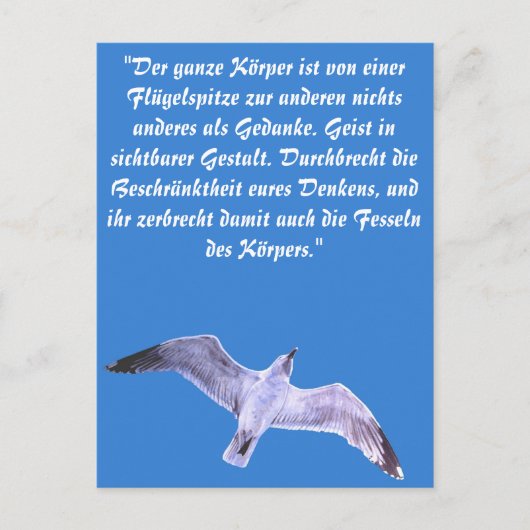 zeemeeuw briefkaart (Voorkant)